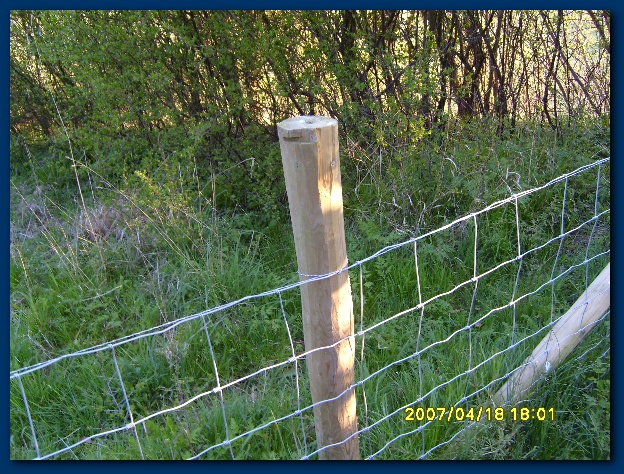 600x449 pixels (223K)